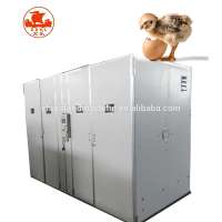 88 To 16986 Capacity Chicken Egg Incubator For Sale